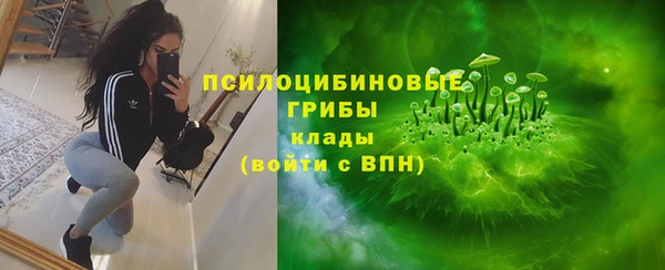 ECSTASY Михайлов