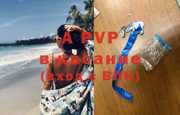 дживик Надым