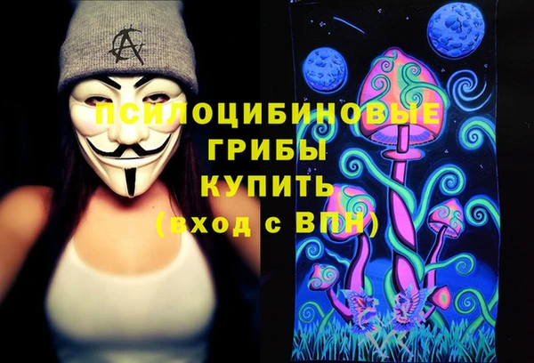 ECSTASY Михайлов