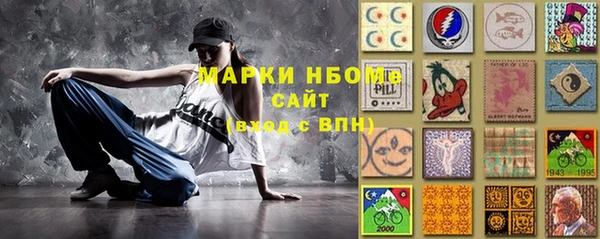 дживик Надым