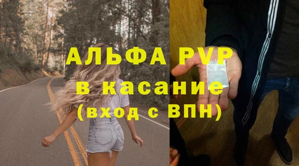 СК Медвежьегорск