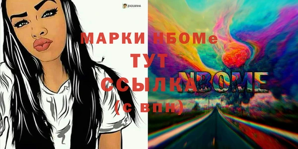 дживик Надым