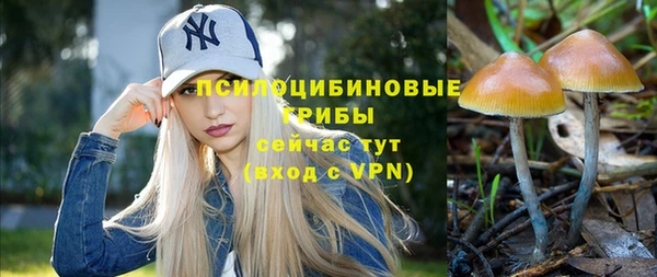 ECSTASY Михайлов