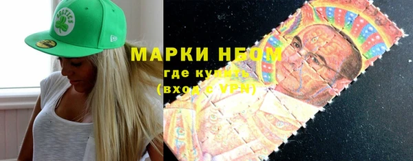 дживик Надым