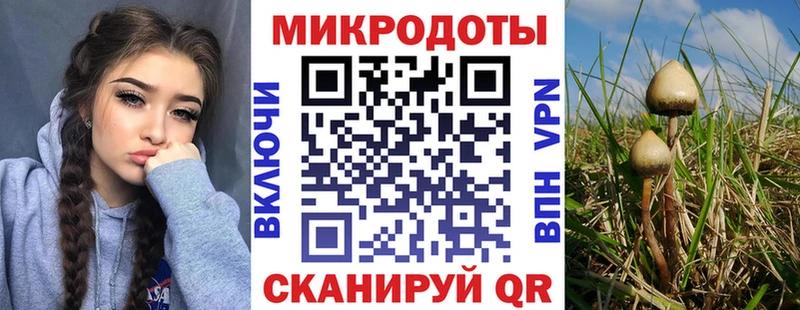 Галлюциногенные грибы Magic Shrooms  закладка  мега   Отрадная 
